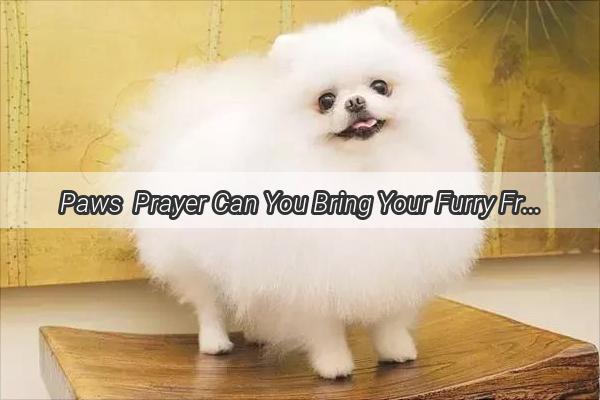 Paws  Prayer Can You Bring Your Furry Friend to the Temple A Heartwarming Journey